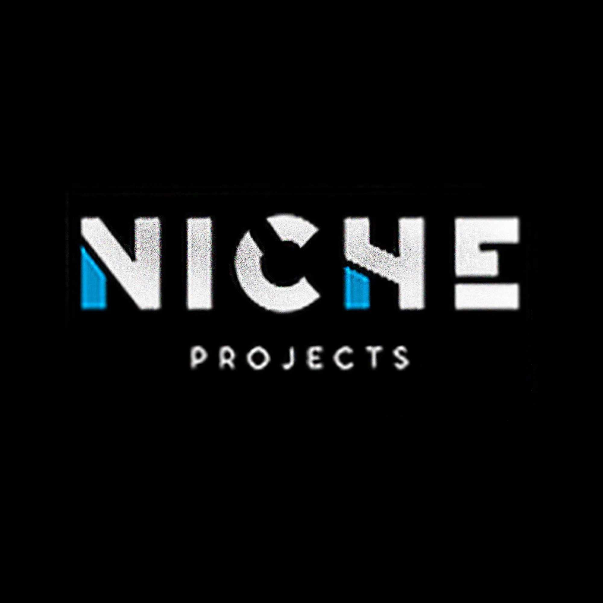 Niche Projects