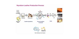 The mycelium leather production process takes one to two weeks, compared to approximately two years for bovine leather production